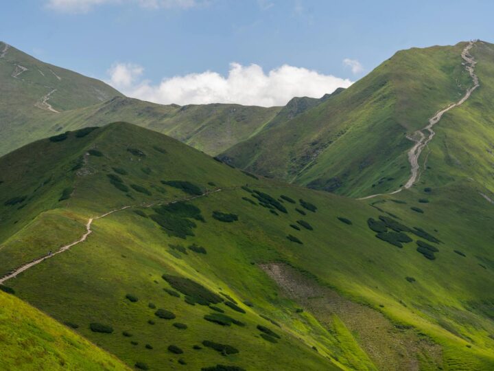 Nationalpark Defileul Jiului